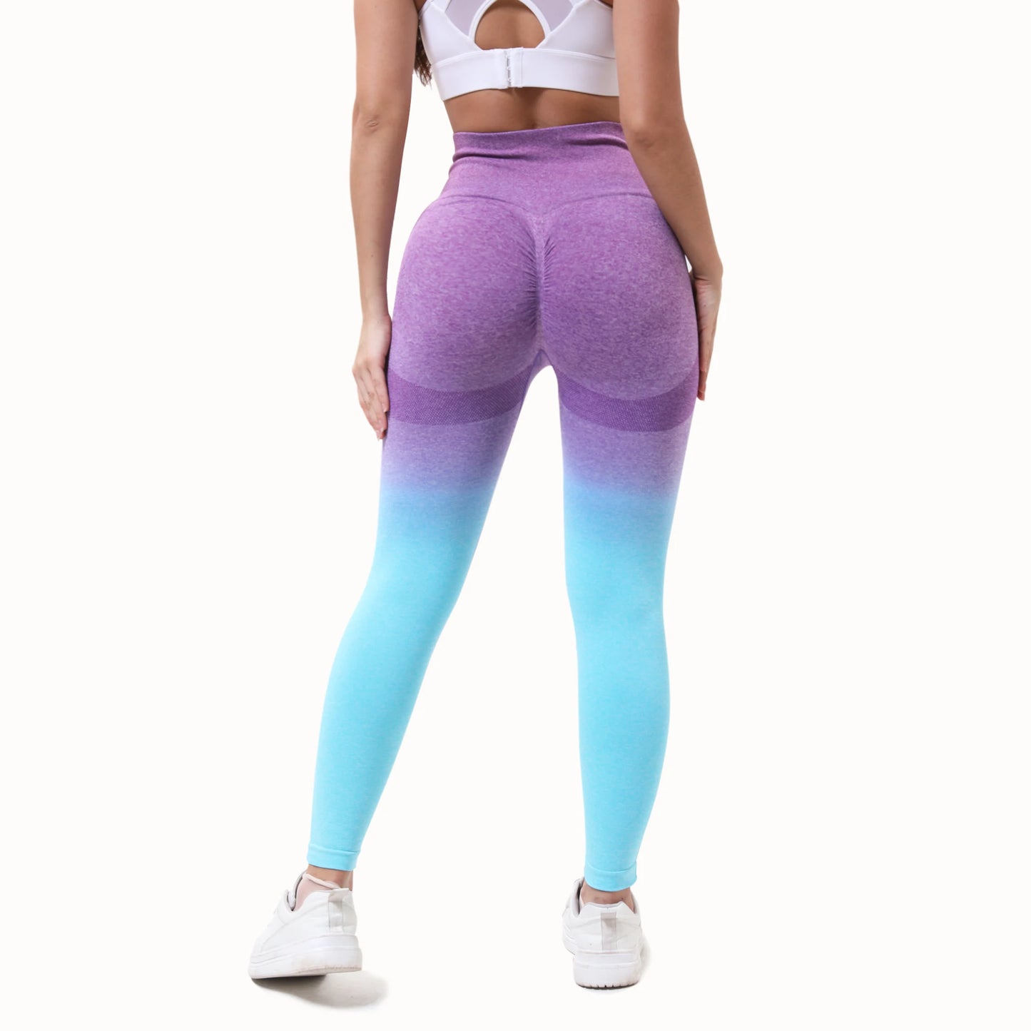 Gradient Seamless Sport Bike Shorts Women's