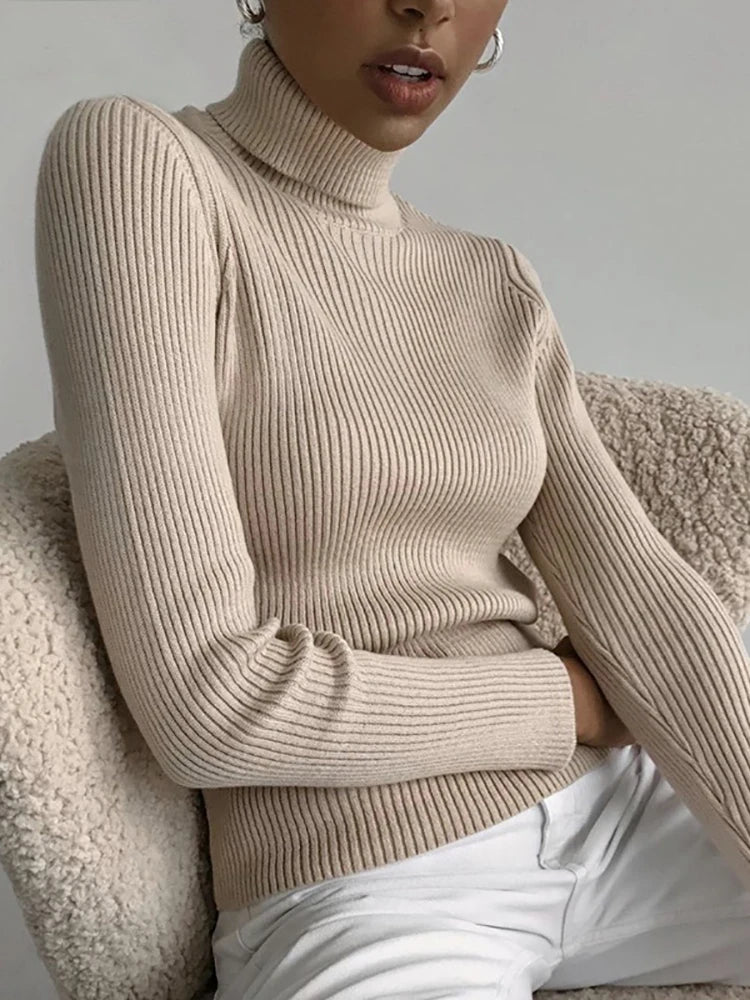 Basic Soft Sweaters For Women