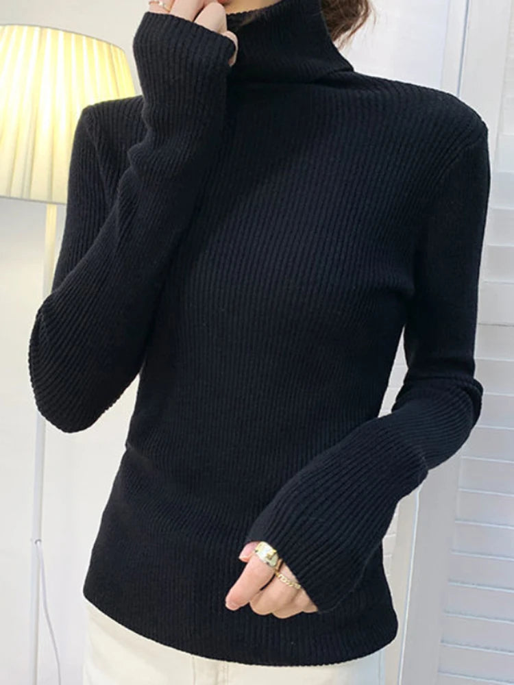 Basic Soft Sweaters For Women