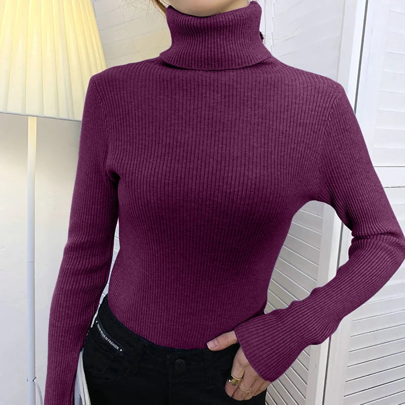 Basic Soft Sweaters For Women